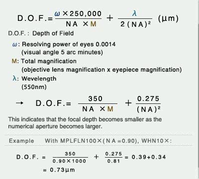 What is the Depth of Focus? | Learn about Microscope | Olympus