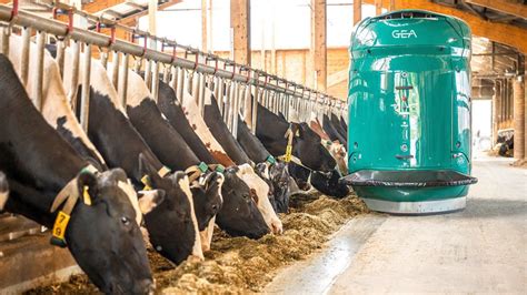 Modern dairy farms: the next generation for milking and feeding - Food ...