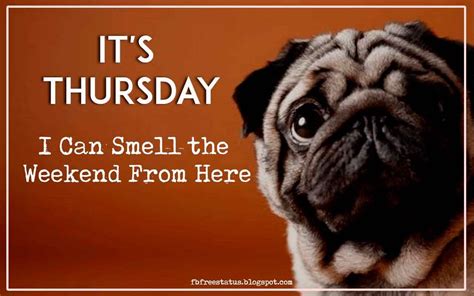 It's Thursday, I Can Smell the Weekend From Here. Thirsty Thursday ...