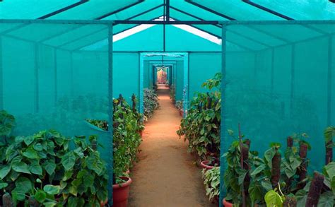 Using Shade Cloth in a Greenhouse - Commercial Netmakers