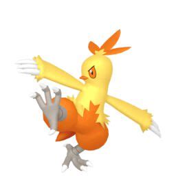 Torchic Evolution