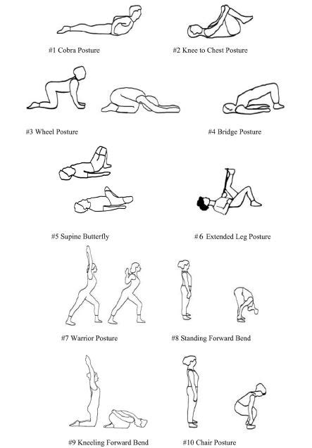 22 best images about Chronic Back Pain Exercises on Pinterest | Lower ...