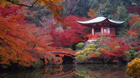 Full Hd P Japan Wallpapers Hd Desktop Backgrounds X - Kyoto Japan 4k ...