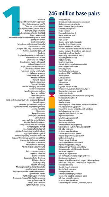 Image: Chromosome 1