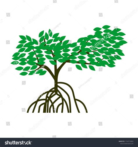 Tree Roots Vector Illustrations Mangrove Tree Stock Vector (Royalty ...