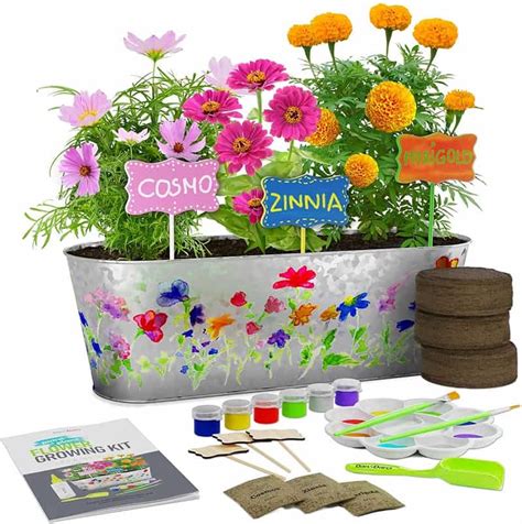 8 Best Indoor Garden Kits for Kids of 2024 | Indoor Gardening