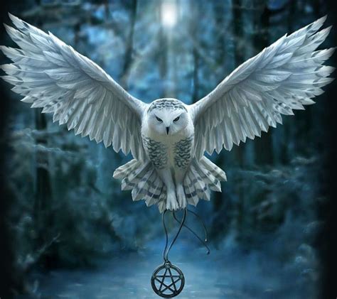 Harry Potter Hedwig Wallpaper