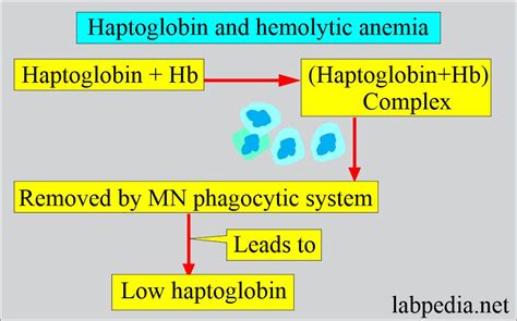 Anemia:- Part 8 - Hemolytic Anemias Classification, Lab Diagnosis ...