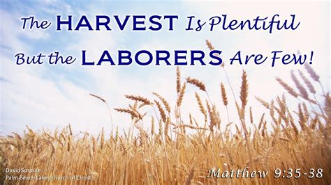 The Harvest Is Plentiful, But the Laborers Are Few! - YouTube