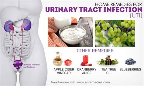 30 Natural Home Remedies for Uti Infections in Women & Men