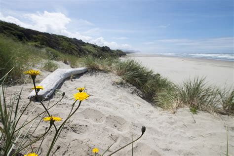 A Guide to Camping on the Central Oregon Coast - Oregon Coast Visitors ...