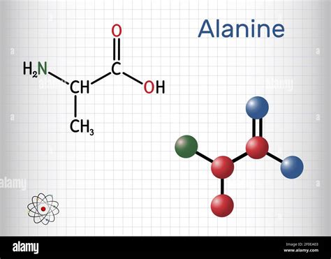 Alanine, L-alanine, Ala, A molecule. It is non-essential amino acid ...