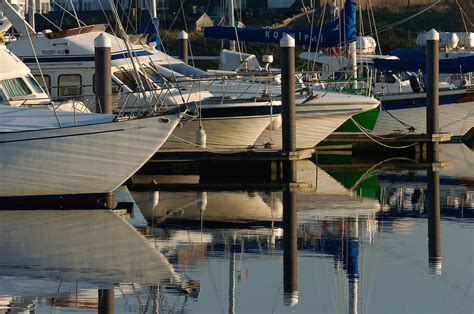 Kilrush Marina a cool place - The Clare Champion