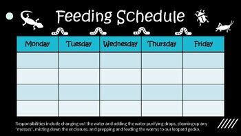 Leopard Gecko Feeding Schedule by Catie's Corner | TPT