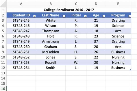 Excel Data with Databases, Tables, Records, and Fields