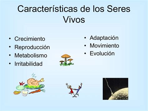 CARACTERISTICAS DE LOS SERES VIVOS