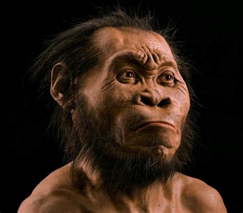 Fossils of a New Human Ancestor 'Homo naledi' Discovered in a South ...