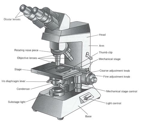 Electron Microscope Labelled Diagram