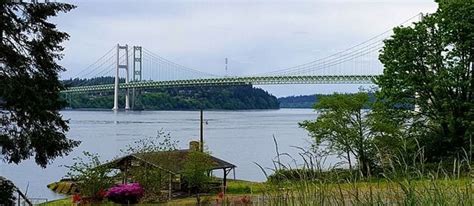 Facts About Tacoma Narrows Bridge: A Tale of Failure And Success | Kidadl