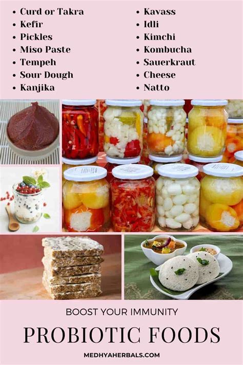 11 Homemade Probiotic Foods for Healthy Gut and Brain (Ultimate Guide)