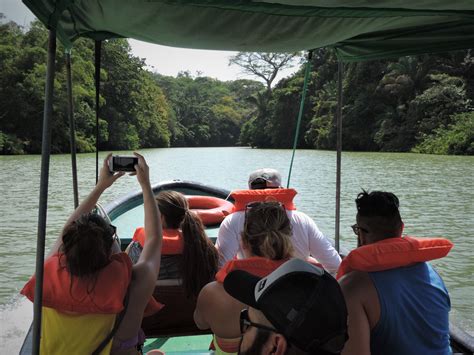 Monkey Islands & Gatun Lake Tour – Panama Road Trips