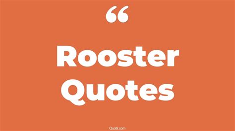 100 Successful Rooster Quotes (fighting rooster, top gun maverick ...