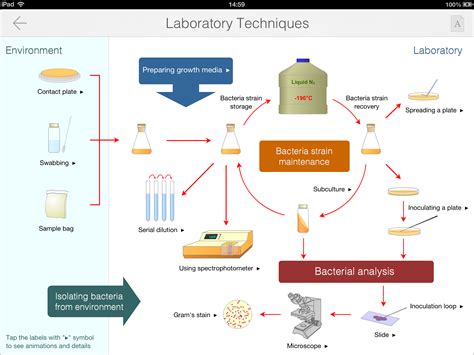 Bacteria Guide on the App Store on iTunes | Medical laboratory science ...