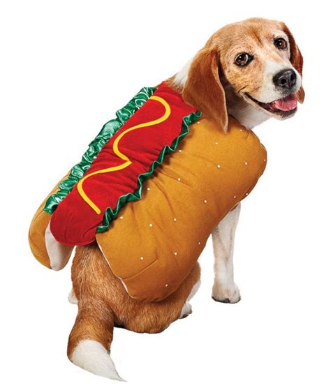 Hot Dog Picture | Halloween Costumes for Pets - ABC News