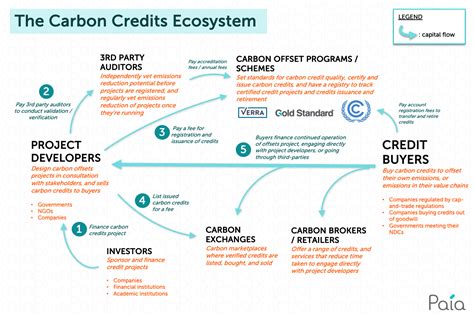 Carbon Offsets and Credits, Explained - Paia Consulting