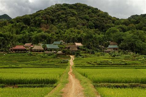 Trekking in Mai Chau & Pu Luong - 4 tips & best locations