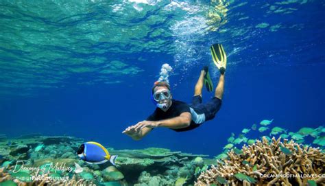 Where is the Best snorkeling in Maldives ? The Best Resorts We've Seen