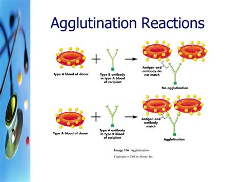 Lecture Notes in Medical Technology: Lecture #2: ANTIGEN-ANTIBODY ...