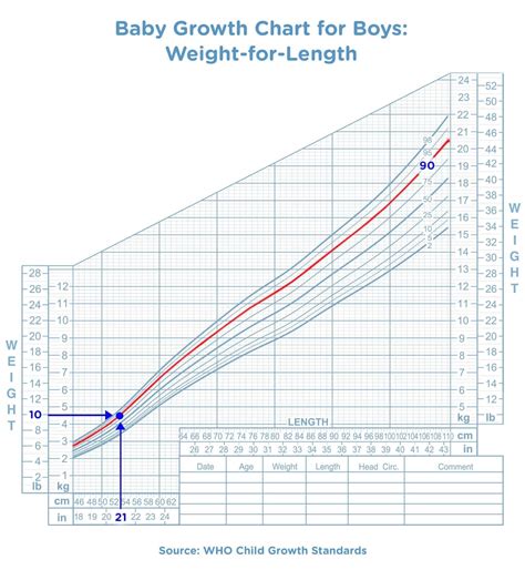 Baby Growth Chart: The First 24 Months | Pampers.com