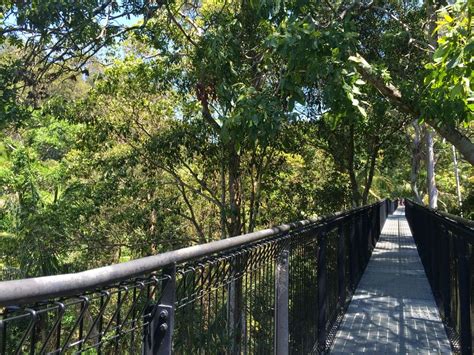 Travelholic: Skywalk - Tamborine Mountain, Gold Coast.