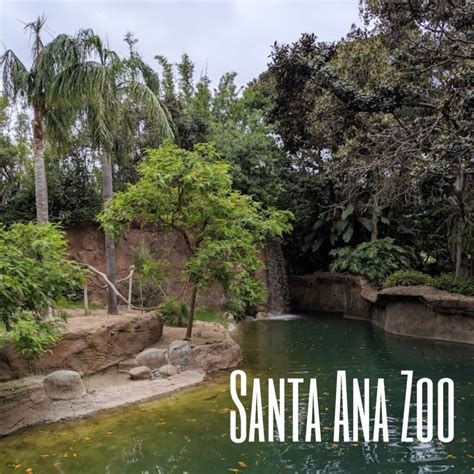 Santa Ana Zoo | Enjoy OC