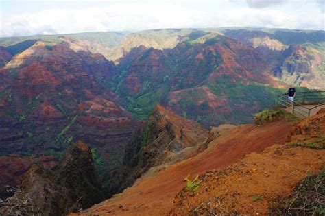 Waimea Canyon: Hawaii Must See - One Broads Journey