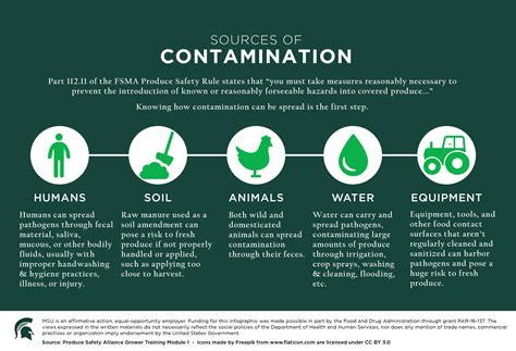 Contamination Infographic - Agrifood Safety