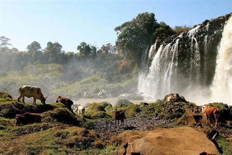 Two days Trip to Bahir dar | Ethiopia Tour and Travels | DMC in Ethiopia