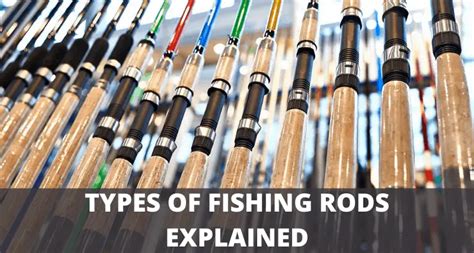 Types Of Fishing Rods - Everything You Need To Know