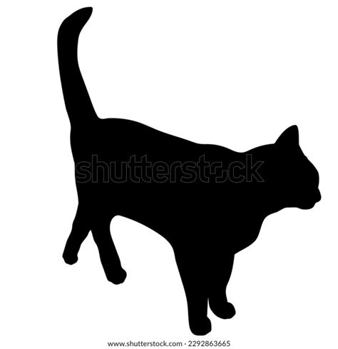 Cat Silhouette Standing Top View Vector Stock Vector (Royalty Free ...