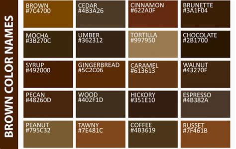 shades of coffee color - Google Search | Brown color palette, Brown ...