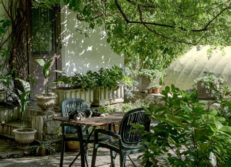 Small Garden Ideas: Maximise Your Space with Inspiring and Powerful Designs