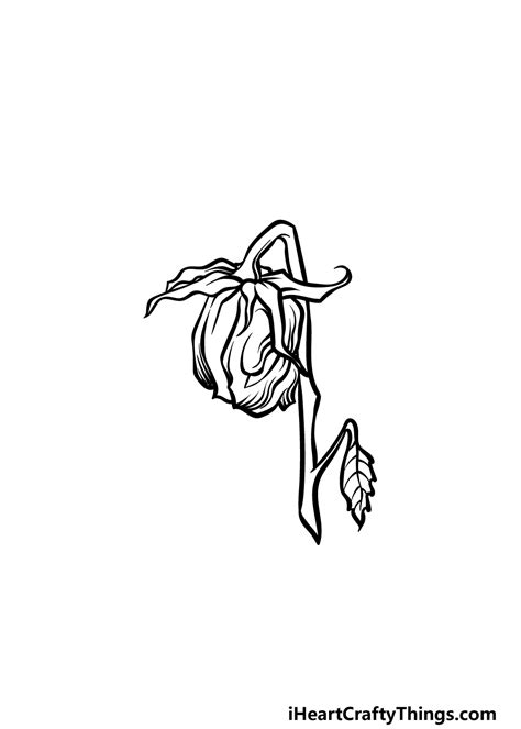 Wilted Flower Drawing | Best Flower Site