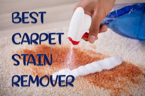 5 Best Carpet Stain Removers [Efficient and Bio-Friendly]