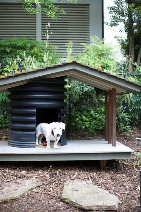 10 Creative Dog House Design Ideas