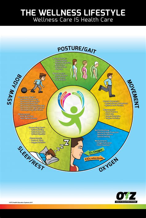 The Wellness Lifestyle Poster – OTZ Health Education Systems