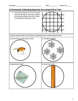 Estimating Specimen Size using Diameter of the Field of View ...