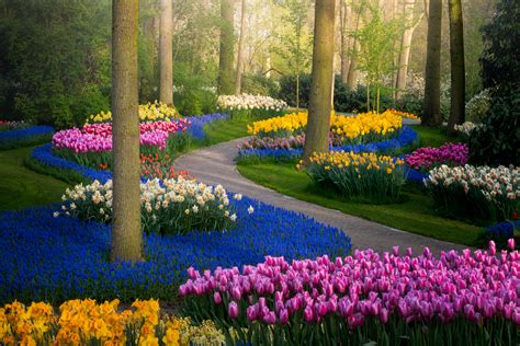 This photographer has captured the most beautiful tulip garden in the ...