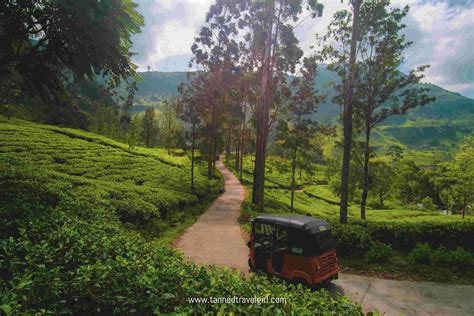 Nuwara Eliya: Tea Estates and Waterfalls (2019 Travel Guide ...