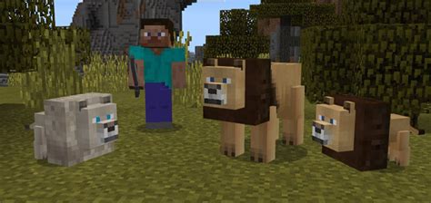 Lions Add-on | Minecraft PE Mods & Addons